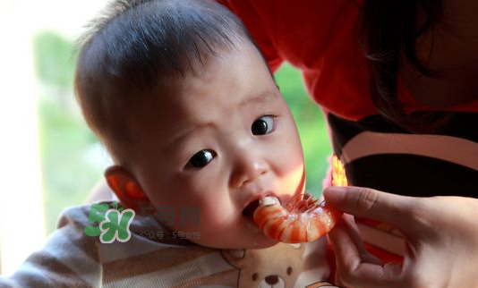 寶寶吃蝦不能和什么一起吃？寶寶吃蝦的注意事項