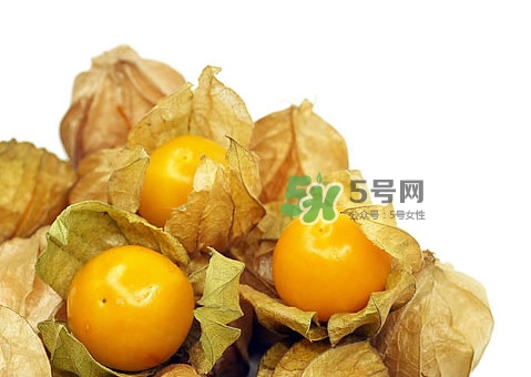 姑娘果怎么挑選？姑娘果產(chǎn)地在什么地方