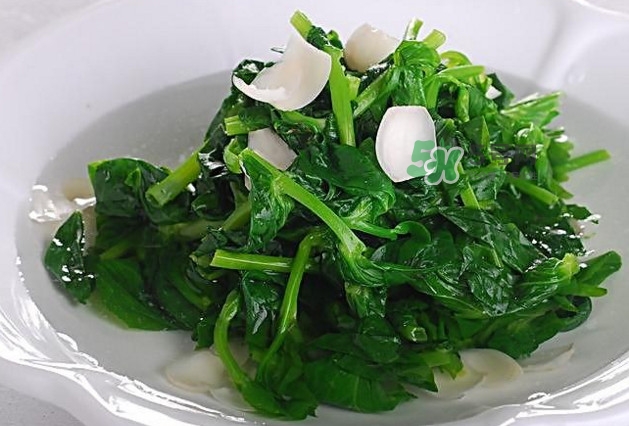 木耳菜是什么菜？木耳菜對(duì)人有哪些好處？