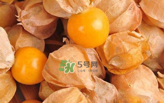 姑娘果怎么挑選？姑娘果產(chǎn)地在什么地方