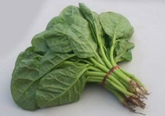 木耳菜怎么清洗？木耳菜怎么擇？