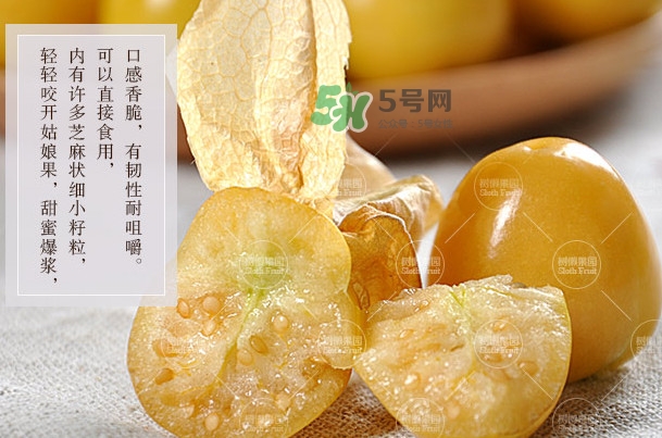 菇娘是寒性還是熱性？菇娘是哪里產(chǎn)的