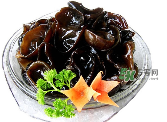木耳菜是什么季節(jié)的菜？木耳和木耳菜有區(qū)別嗎