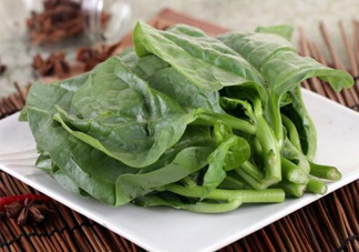木耳菜和什么食物相克？木耳菜不能和什么一起吃