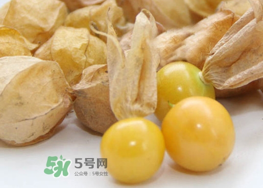 黃菇娘幾月種植？黃菇娘的種植注意事項(xiàng)