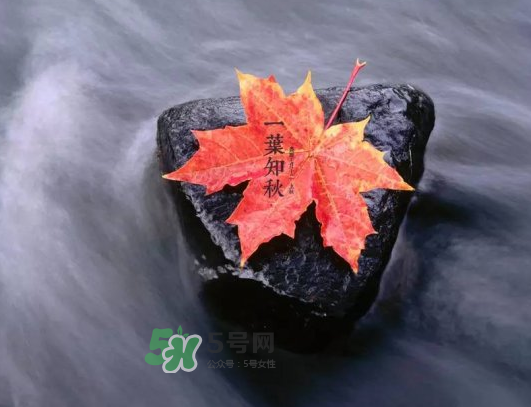 2017早立秋還是晚立秋？早立秋和晚立秋的區(qū)別