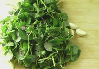 野莧菜怎么做好吃？野莧菜怎么保存