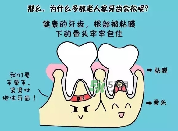 牙齒松動(dòng)會(huì)自己好嗎？牙齒松動(dòng)會(huì)自己掉嗎