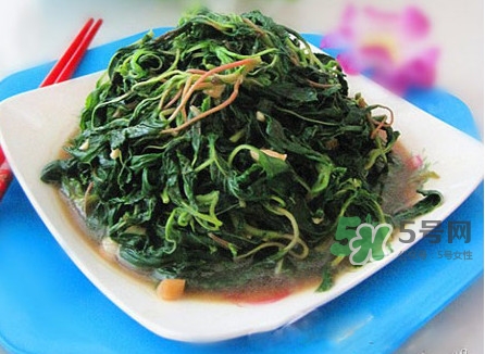 野莧菜怎么做好吃？野莧菜怎么保存