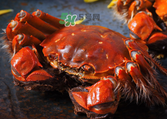 2017年陽澄湖大閘蟹多少錢一斤？2017陽澄湖大閘蟹價格