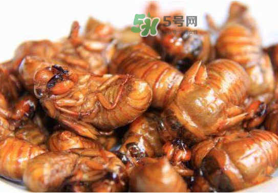立秋后的知了還能吃嗎？立秋還有知了猴嗎？