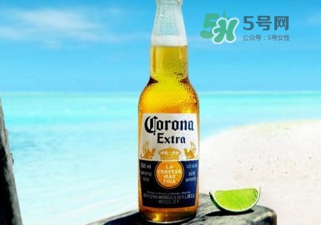 科羅娜啤酒多少錢一瓶？科羅娜啤酒好喝嗎