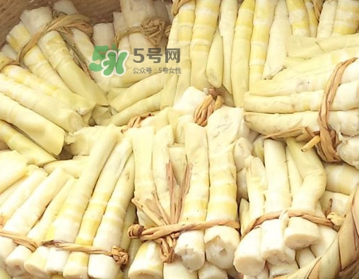 苦筍做法有哪些？苦筍怎么處理才不會(huì)苦