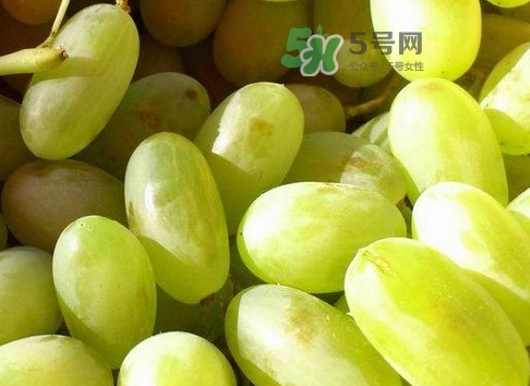 馬奶葡萄是提子嗎？馬奶葡萄怎么洗？