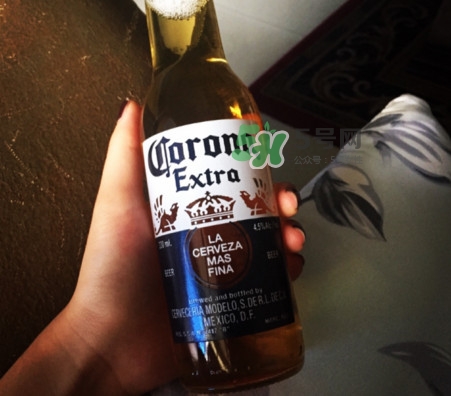 科羅娜啤酒多少度？科羅娜啤酒怎么樣