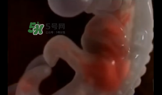 懷孕初期怎么保胎？陰道出血是流產(chǎn)征兆嗎？