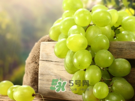 馬奶葡萄幾月成熟？吃馬奶葡萄有什么好處？