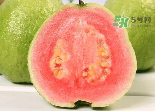 紅芭樂怎么吃？芭樂是熱的還是涼的