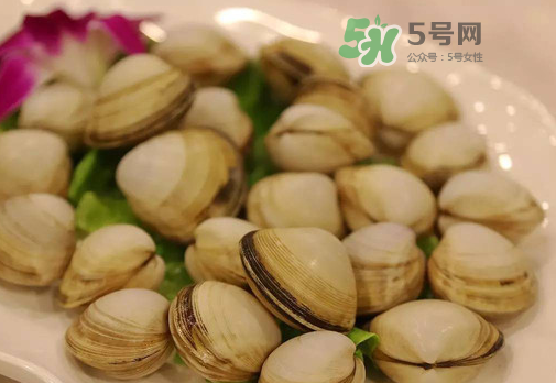 花蛤可以放冰箱冷凍嗎？花蛤放冰箱保鮮能吃嗎？