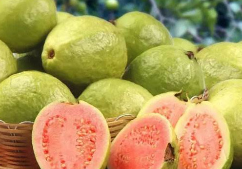 芭樂多少錢一斤？紅心芭樂多少錢一斤