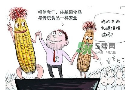 雜交水稻是不是轉(zhuǎn)基因？轉(zhuǎn)基因食品有哪些？