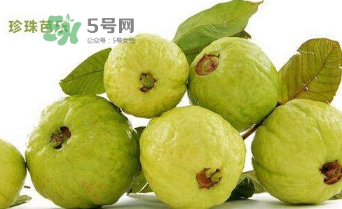 芭樂是什么季節(jié)的水果？芭樂什么時候吃最好