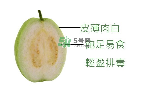 芭樂可以減肥嗎？吃芭樂可以喝牛奶嗎？