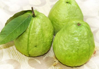 芭樂(lè)沒(méi)熟能吃嗎？芭樂(lè)怎么催熟