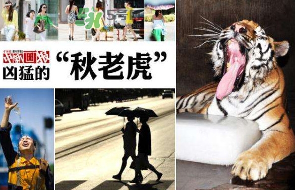 秋老虎有多熱？秋老虎一般是怎么算的？