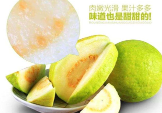 芭樂(lè)和番石榴有什么區(qū)別？芭樂(lè)和番石榴的區(qū)別