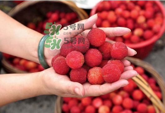 八月份還有楊梅嗎？楊梅幾月份結束？