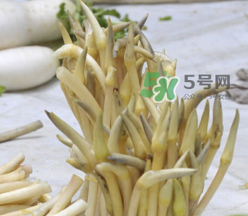 2017年藕帶什么時(shí)候下市？藕帶下市時(shí)間是幾月？