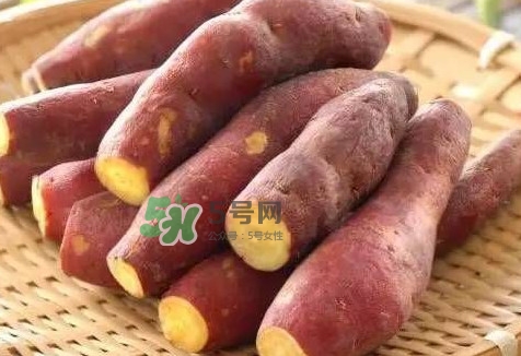 地瓜怎么做好吃？地瓜怎么吃好吃