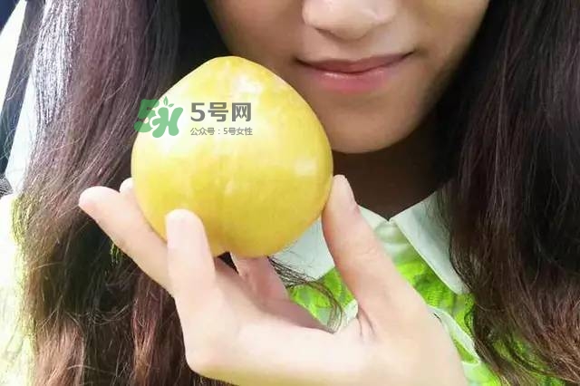 奈李是什么水果？奈李為什么會空心