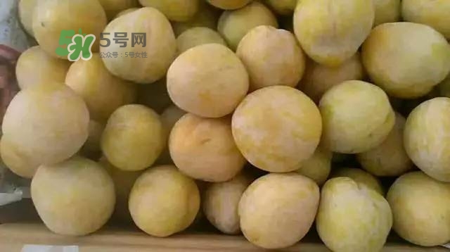 奈李是什么水果？奈李為什么會空心