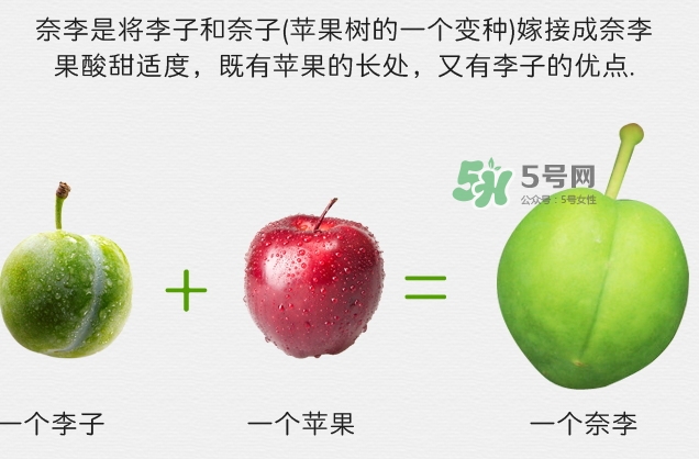 月經(jīng)期間可以吃奈李嗎？來(lái)月經(jīng)可以吃奈李嗎