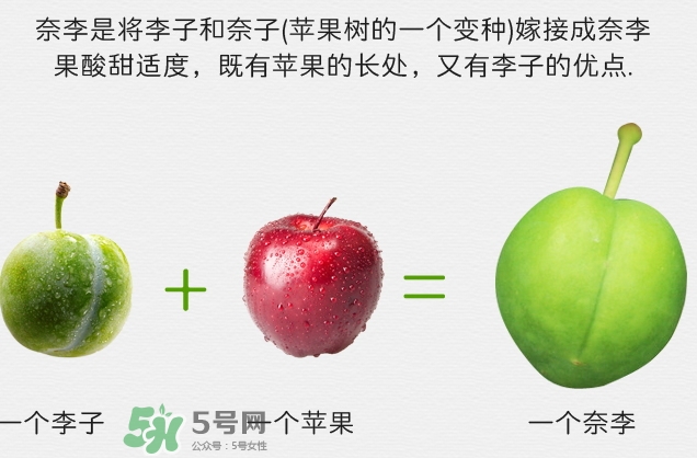 寶寶可以吃奈李嗎？寶寶多大可以吃奈李