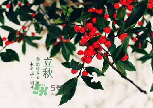 立秋為什么在處暑前？為什么立秋早過處暑？