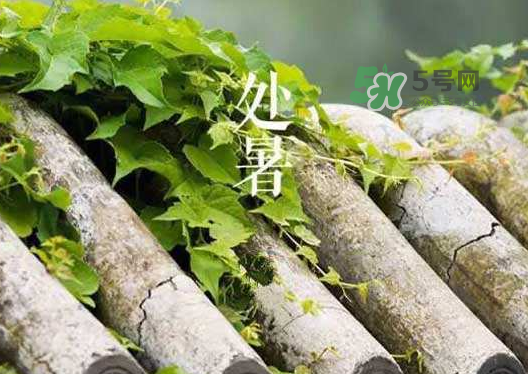 立秋為什么在處暑前？為什么立秋早過處暑？