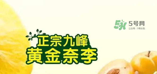 黃金奈李多少錢一斤？黃金奈李價格