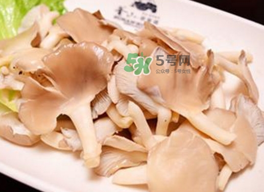 秀珍菇孕婦可以吃嗎？孕婦能吃秀珍菇嗎