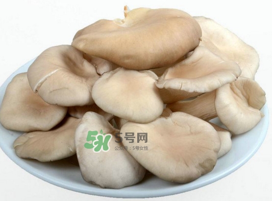 秀珍菇可以和海帶一起吃嗎？海帶能和秀珍菇一起吃嗎