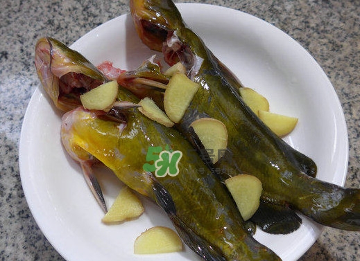 黃刺魚幾月份最好釣？黃刺魚怎么釣