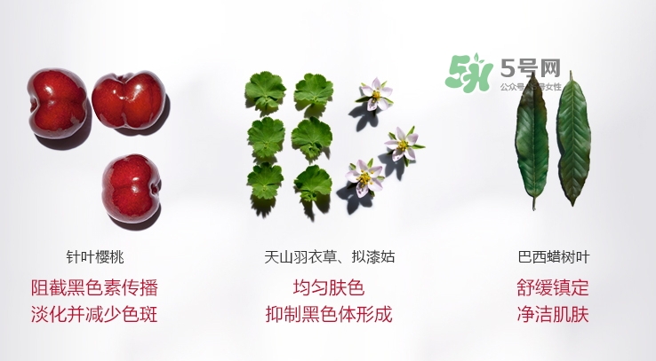 嬌韻詩牛奶水好用嗎？嬌韻詩牛奶水孕婦可以用嗎