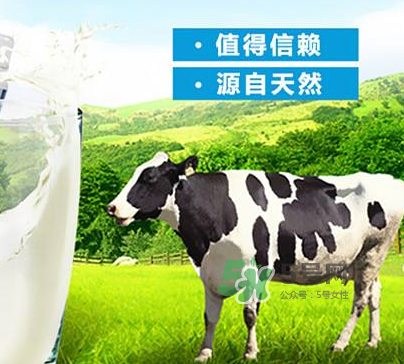牛初乳是奶粉嗎？牛初乳跟奶粉的區(qū)別