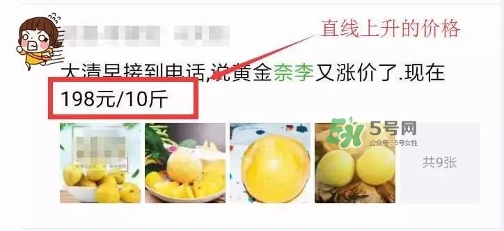 黃金奈李多少錢一斤？黃金奈李價格