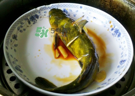 黃刺魚死了能吃嗎？黃刺魚不能與什么同食