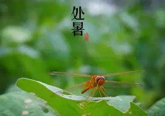 立秋為什么在處暑前？為什么立秋早過(guò)處暑？