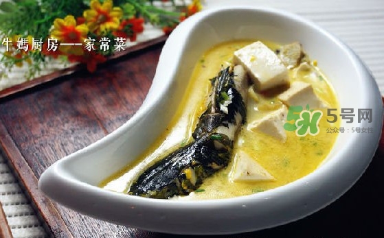 黃刺魚怎么殺？黃刺魚怎么處理
