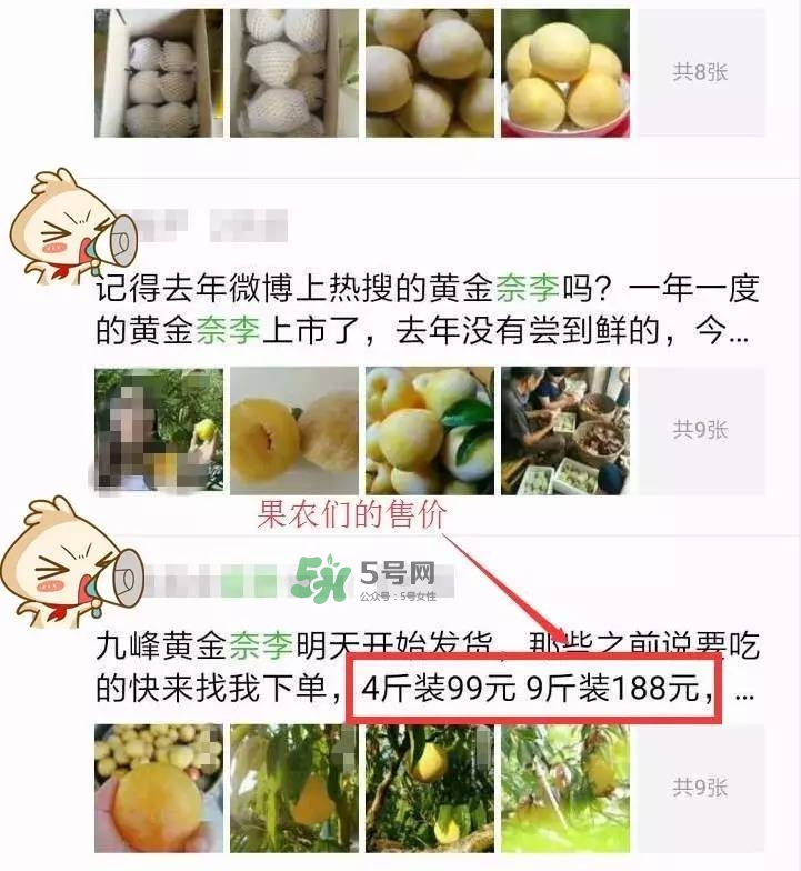 黃金奈李多少錢一斤？黃金奈李價格